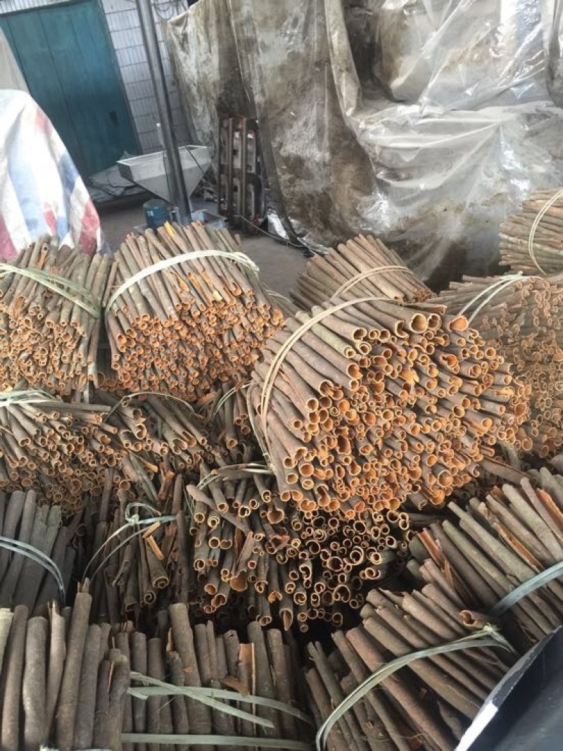 广西桂皮肉桂玉桂大桂通中通广西发货