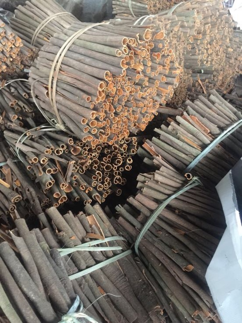 广西桂皮肉桂玉桂大桂通中通广西发货