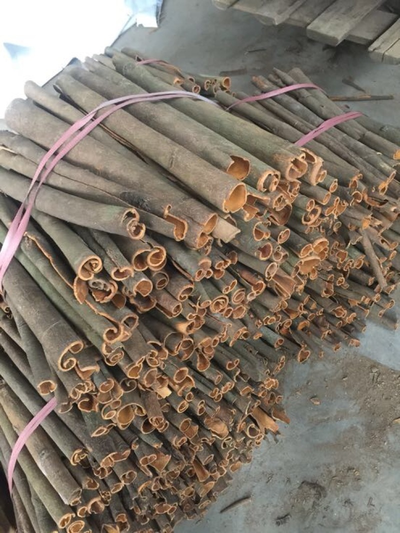 广西桂皮肉桂玉桂大桂通中通广西发货