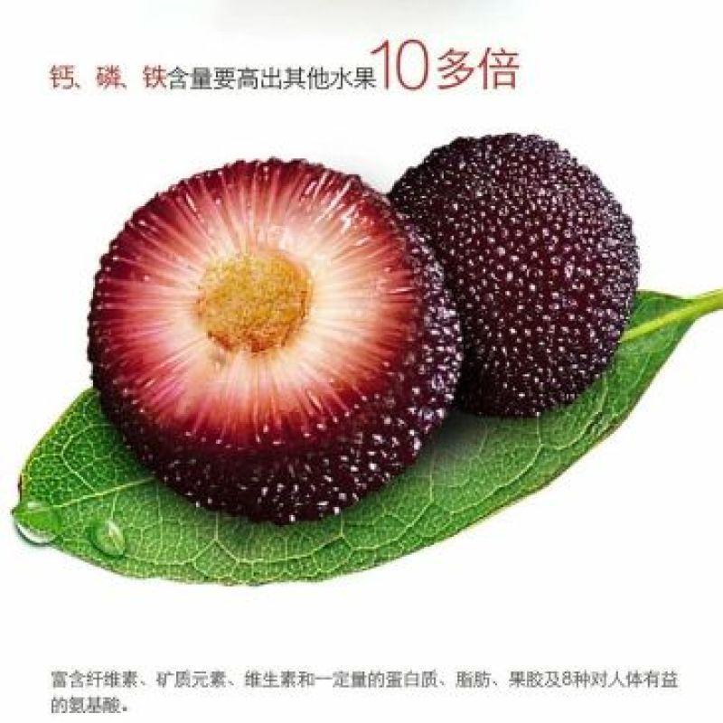 杨梅，靖州杨梅，