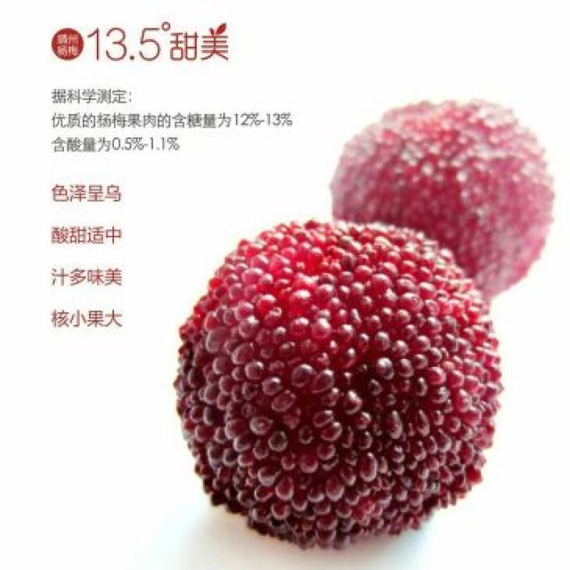 杨梅，靖州杨梅，