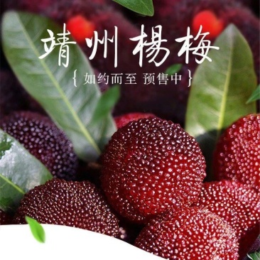 杨梅，靖州杨梅，