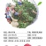 杨梅，靖州杨梅，