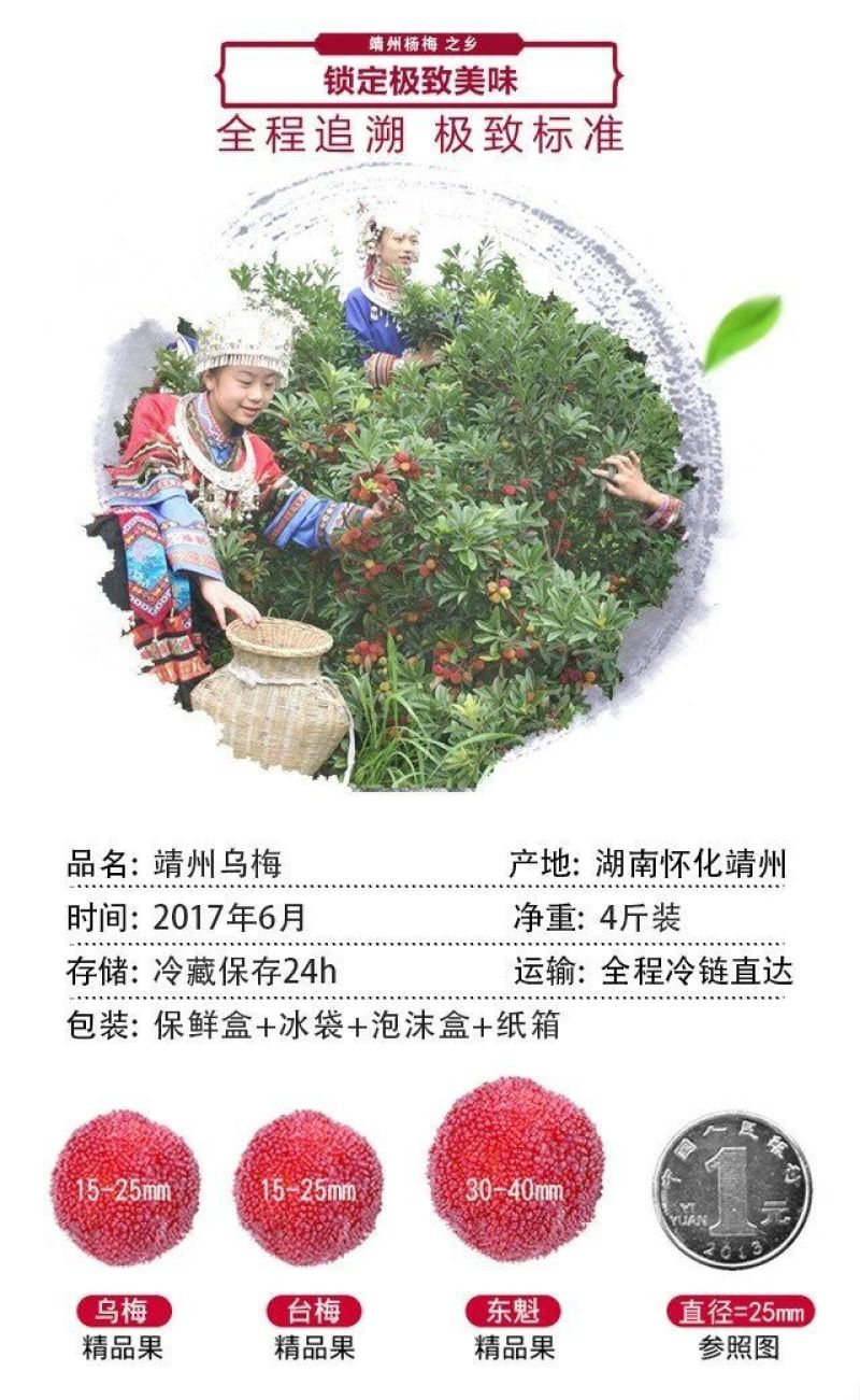 杨梅，靖州杨梅，