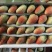 法兰蒂草莓30~40克