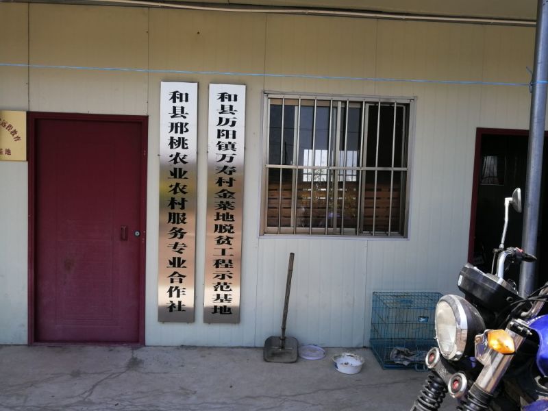玉姑，甜瓜