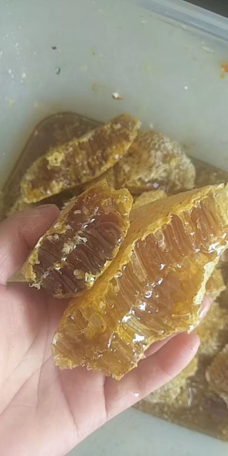 土蜂蜜1斤