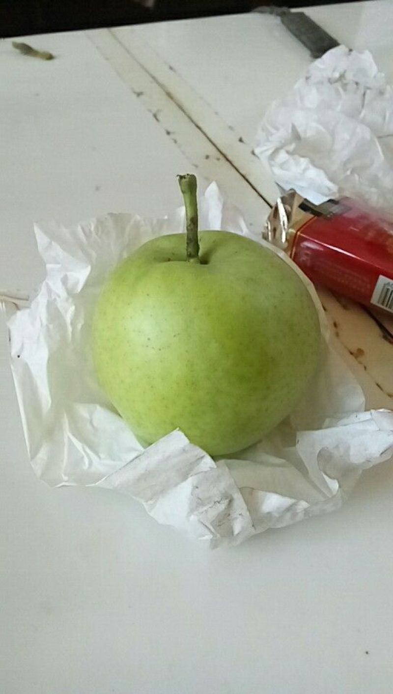 绿宝石梨