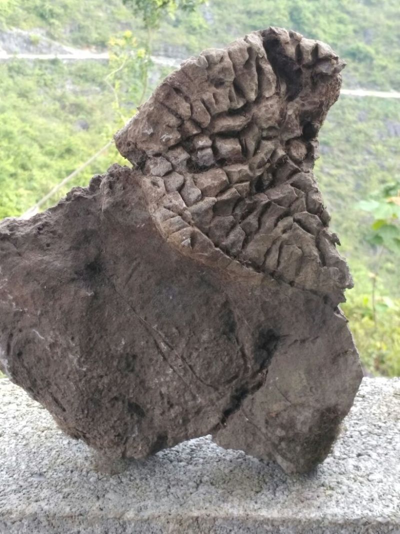 奇石