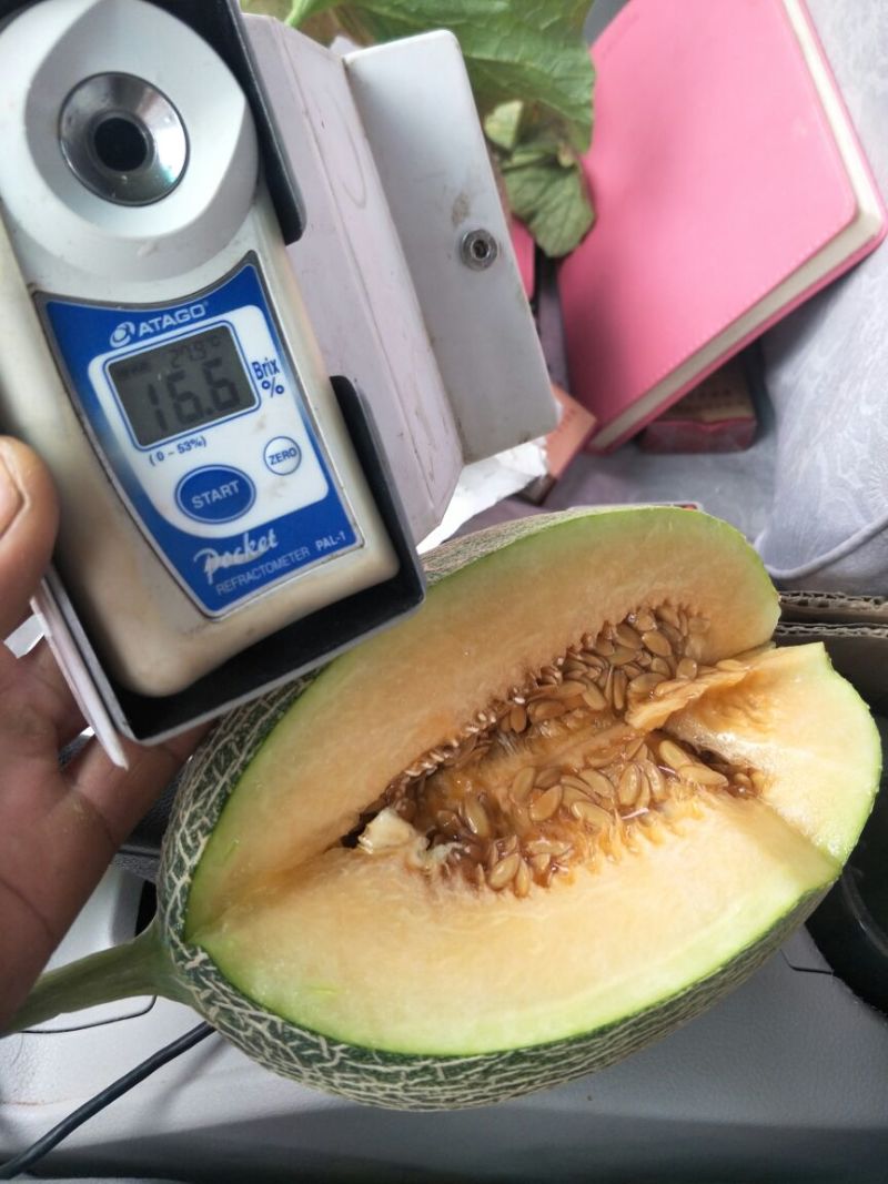 薽品西州密25
