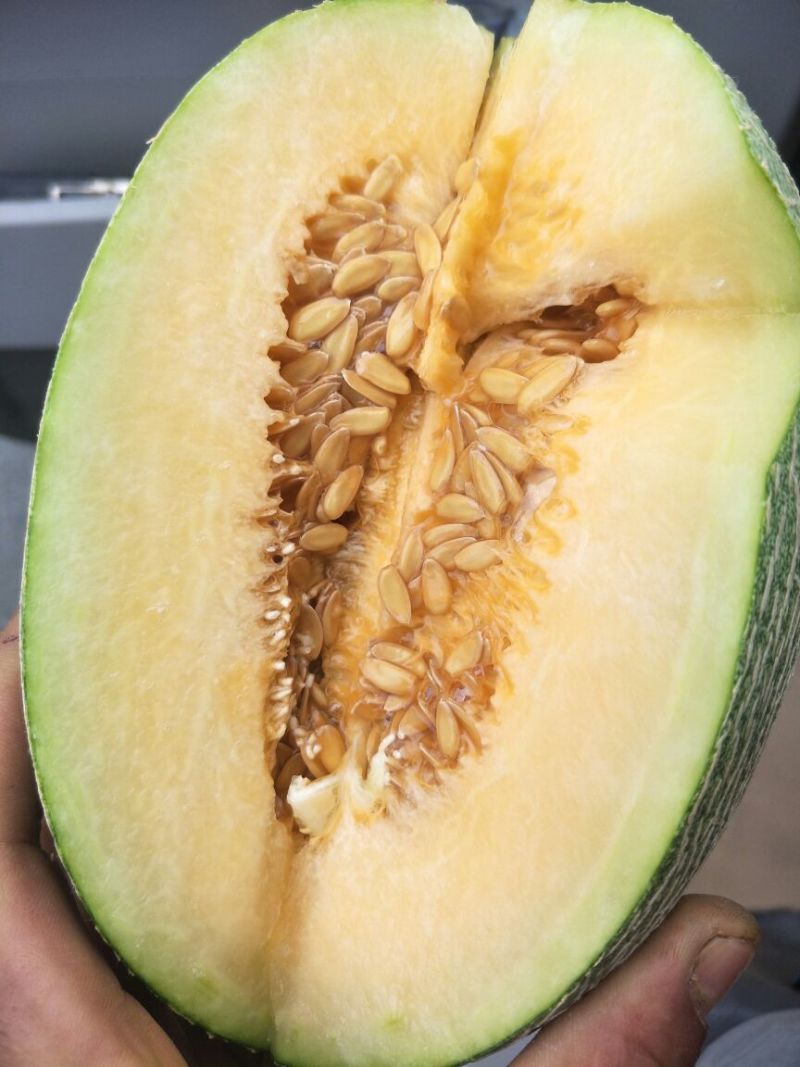 薽品西州密25