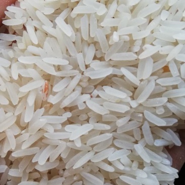 莫比大米