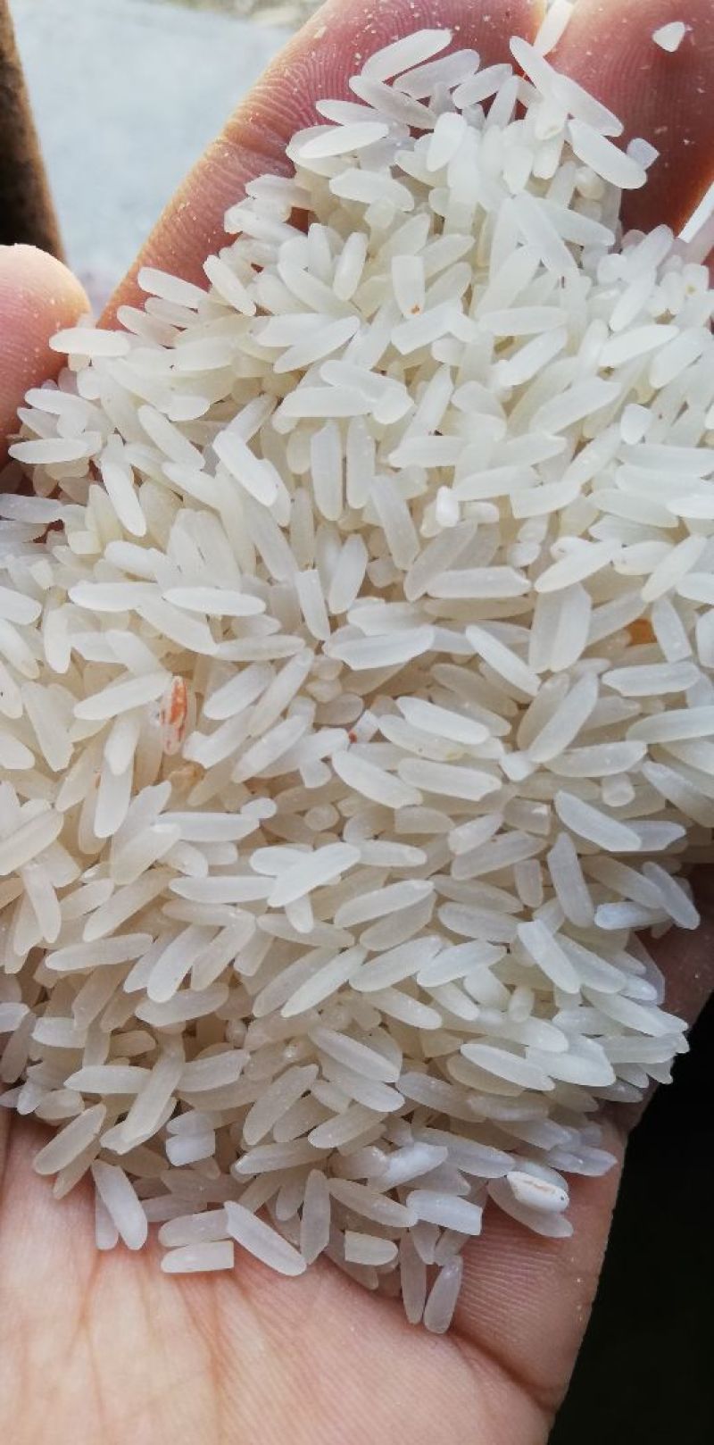莫比大米