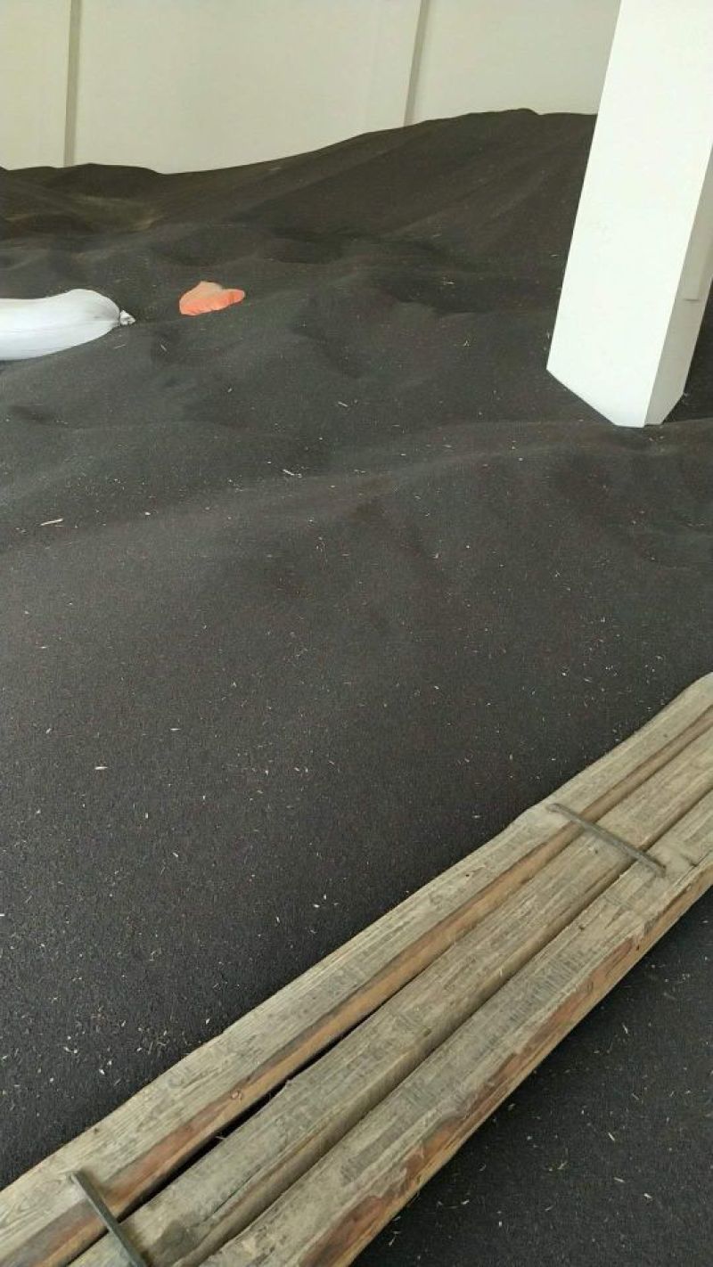 罗平油菜籽