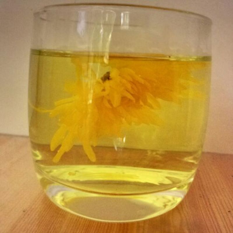 实拍金丝皇菊