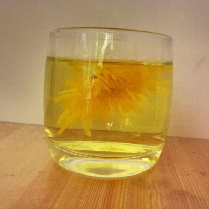 实拍金丝皇菊