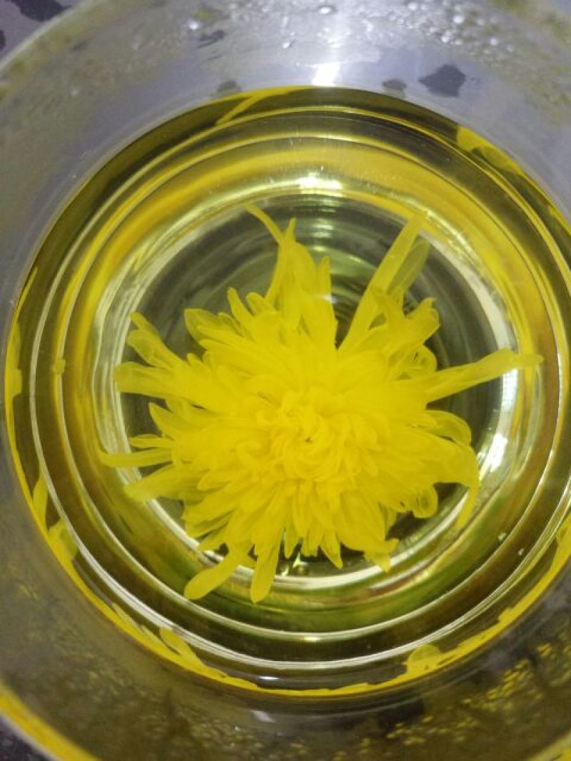 实拍金丝皇菊
