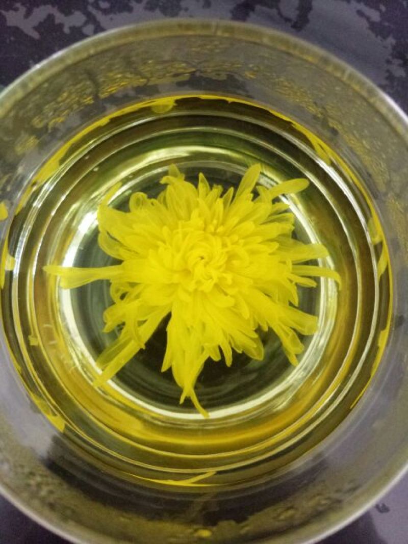 实拍金丝皇菊
