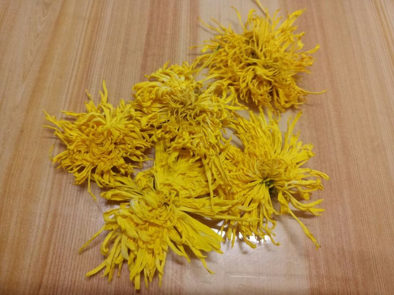 实拍金丝皇菊