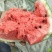 东台8424西瓜🍉，4月15日上市。