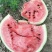 东台8424西瓜🍉，4月15日上市。
