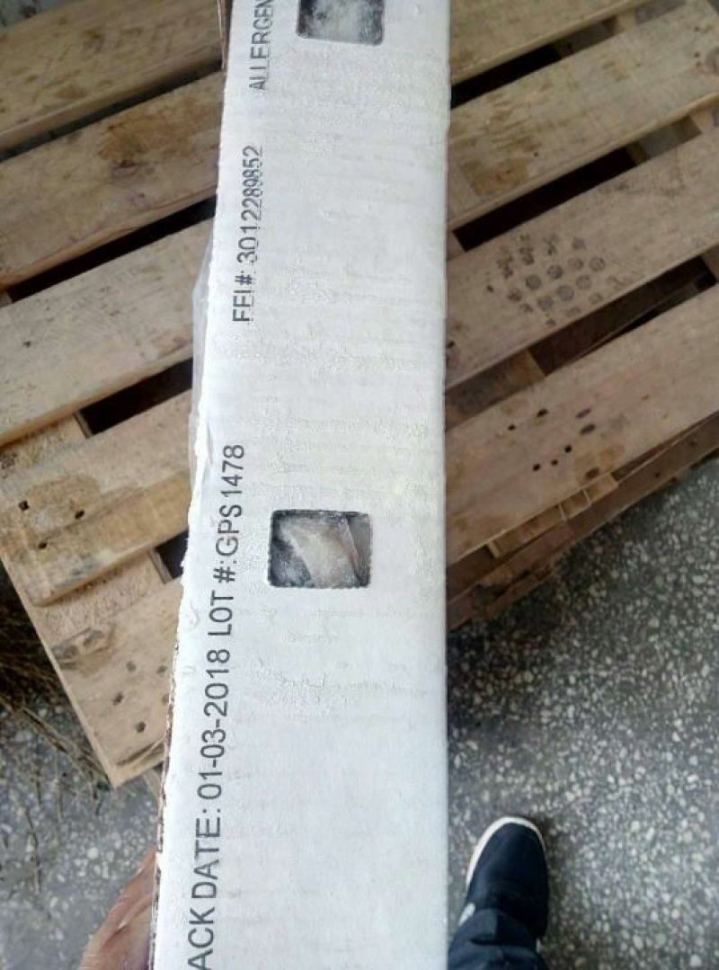 加州笔管，海兔，原装进口