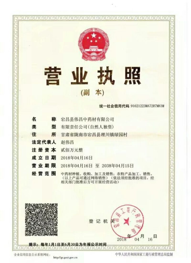 蒲公英叶野生蒲公英茶全国发货常年供应药材
