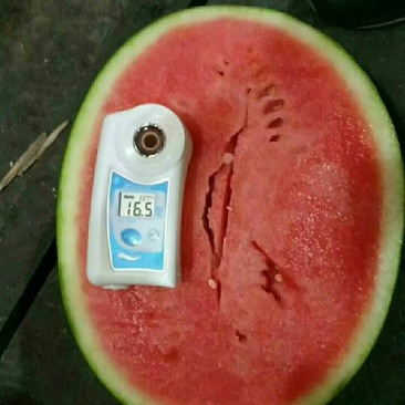 陕西大荔甜王西瓜，西瓜，大荔甜王西瓜
