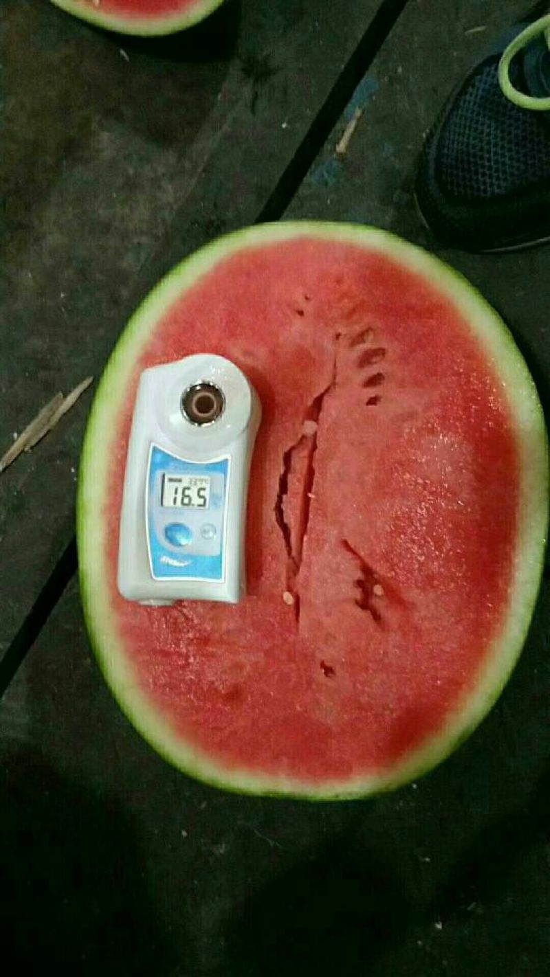 陕西大荔甜王西瓜，西瓜，大荔甜王西瓜