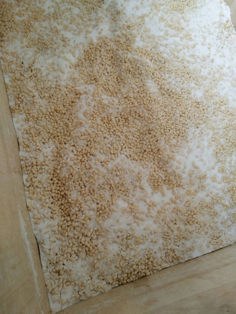 聚贤蒜业蒜米袋装