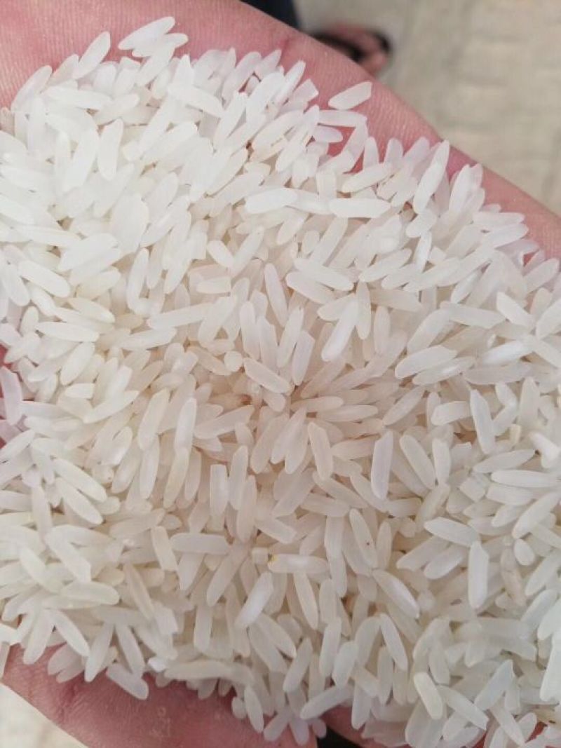 缅甸小香米