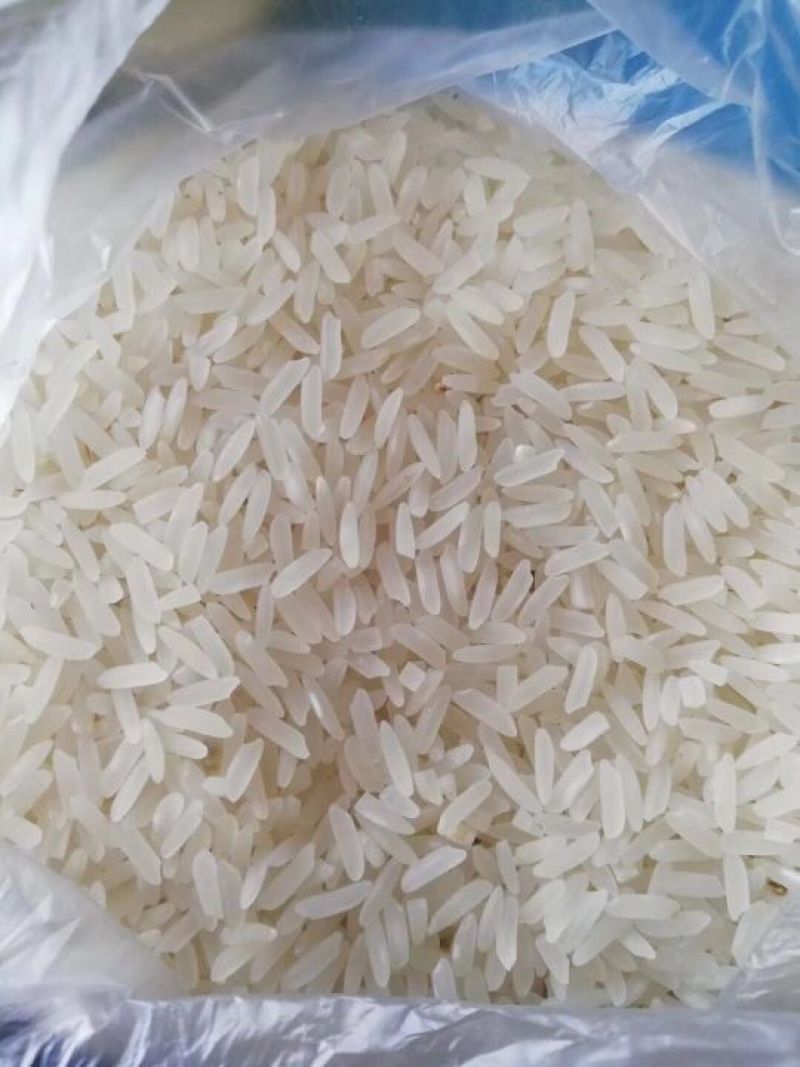 缅甸小香米