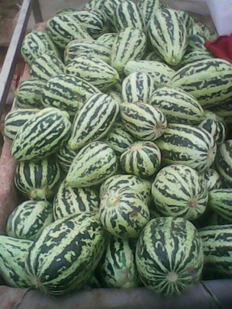 花皮甜瓜