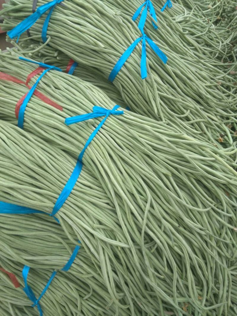 豆角己大量上市，产地直销