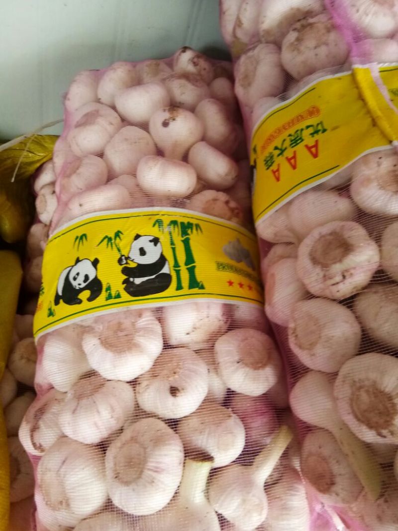 精品干蒜紫皮蒜一手货源视频看货品质保证以质论价