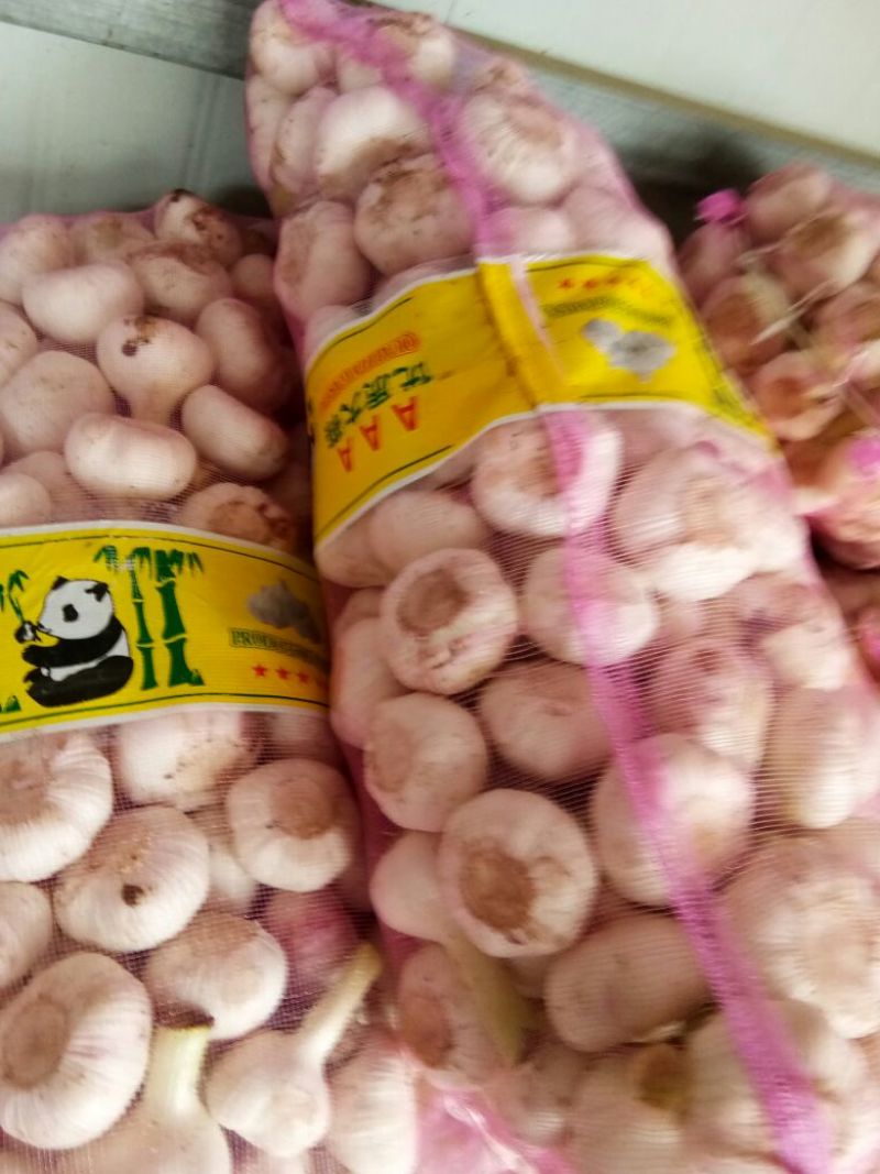 精品干蒜紫皮蒜一手货源视频看货品质保证以质论价