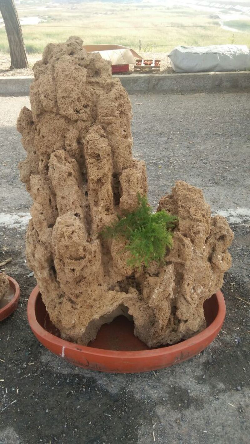 精品上水石