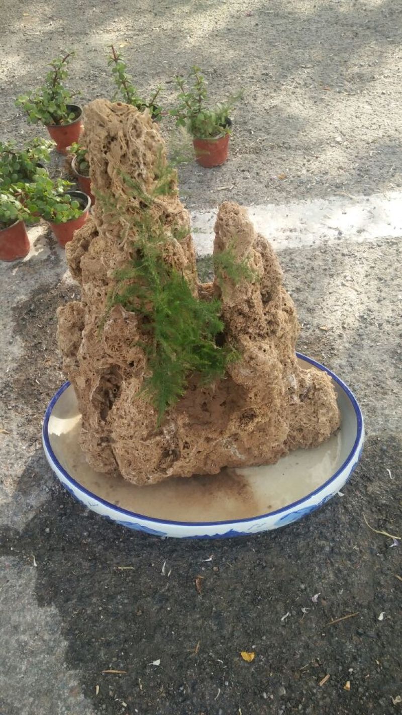 精品上水石