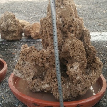 精品上水石
