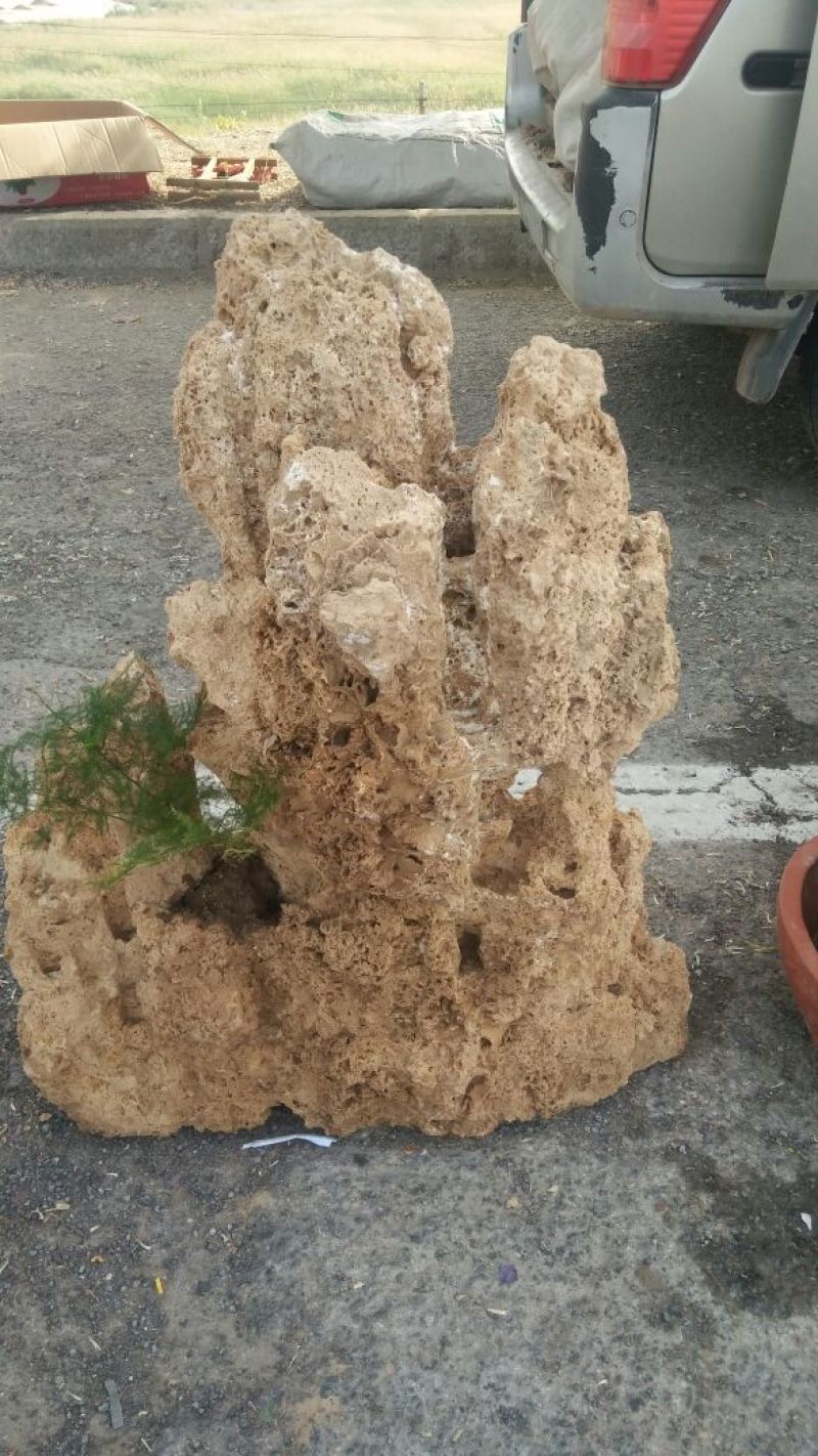 精品上水石
