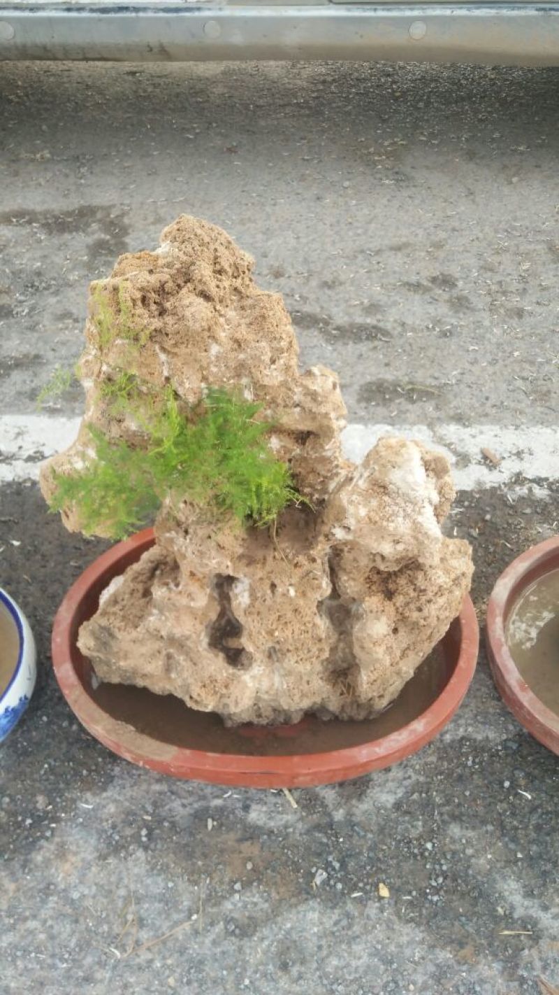 精品上水石