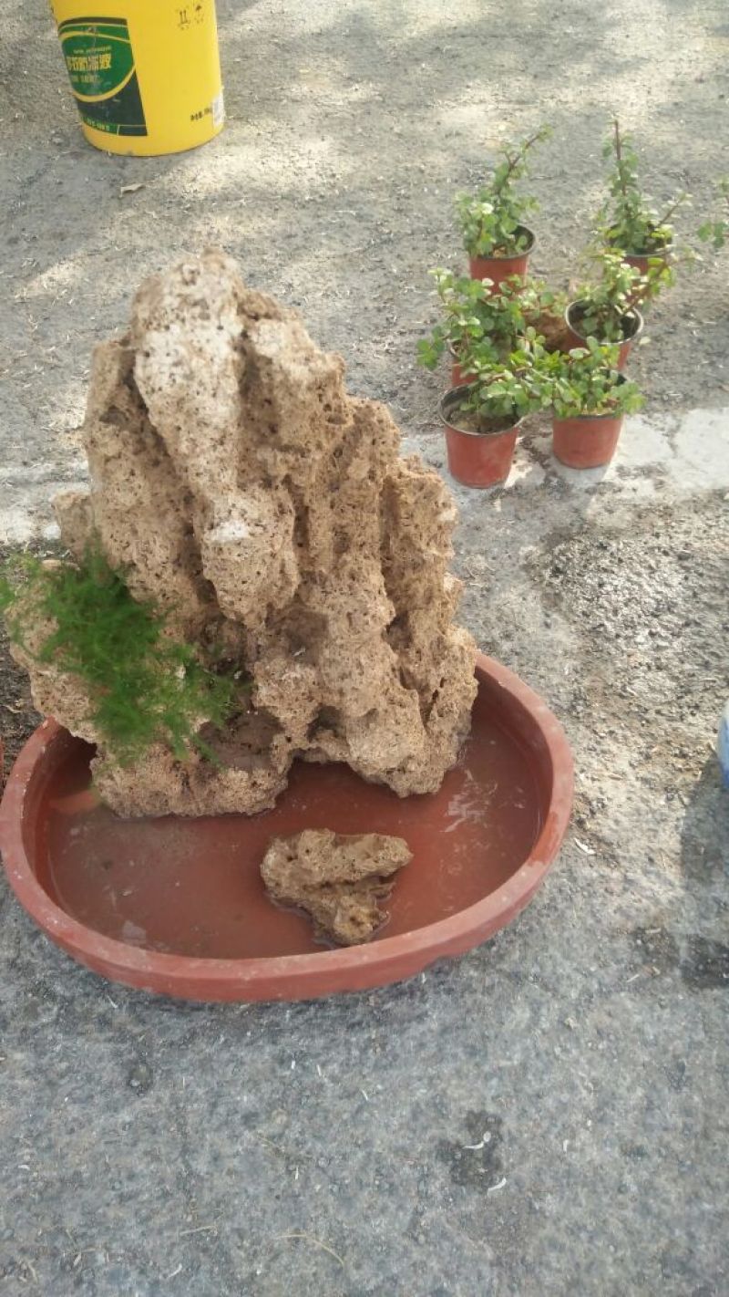 精品上水石