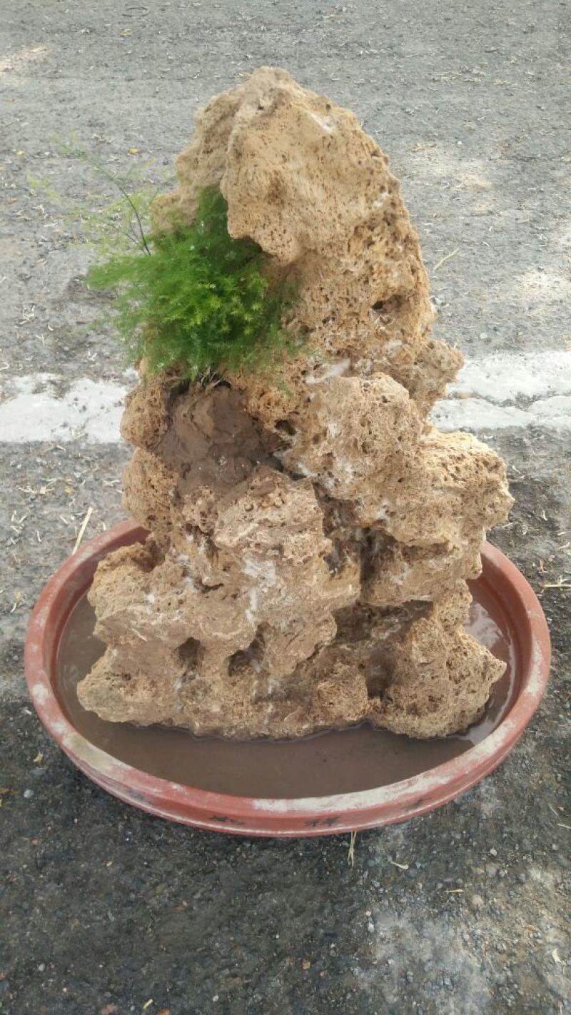 精品上水石