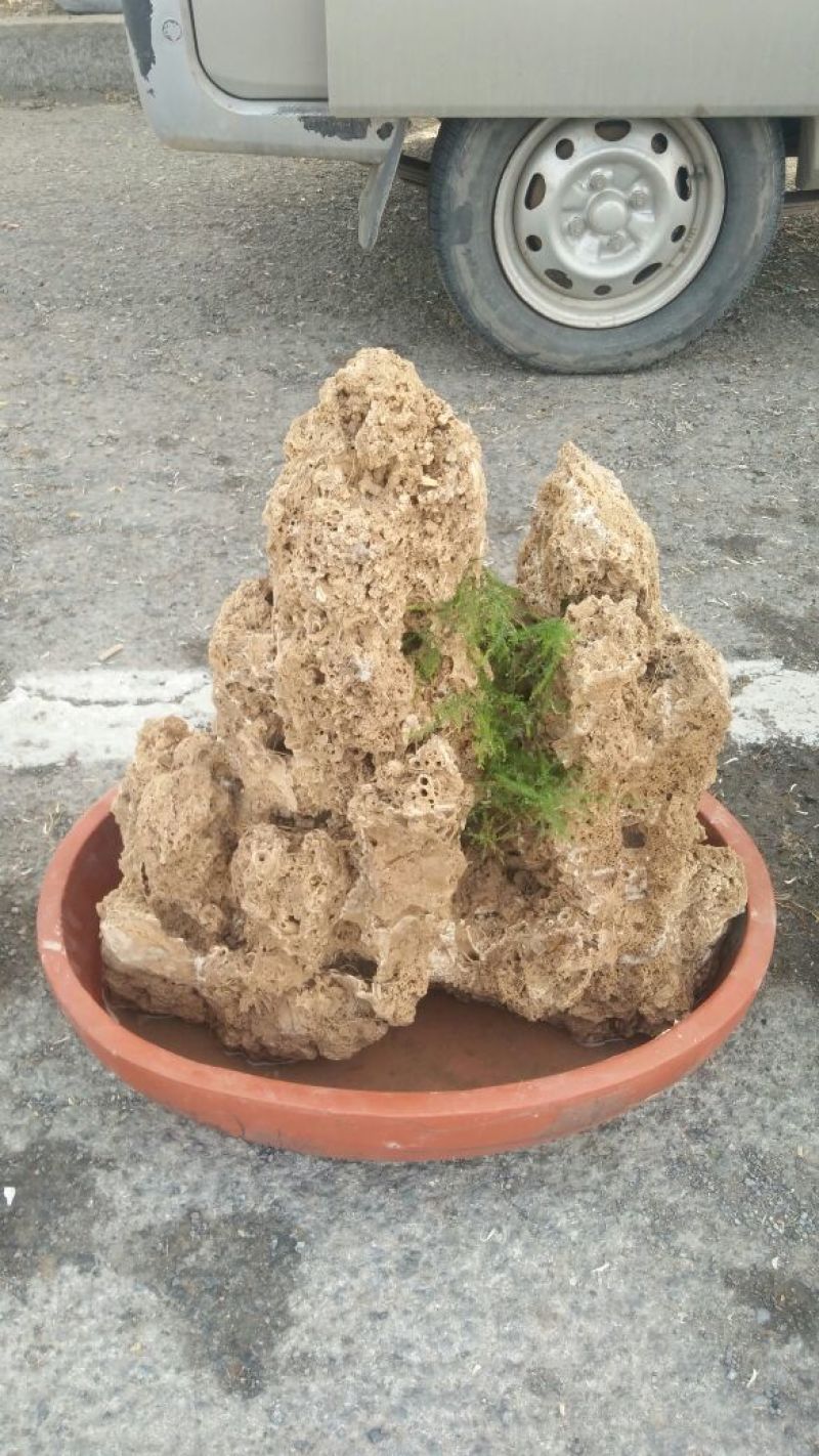 精品上水石