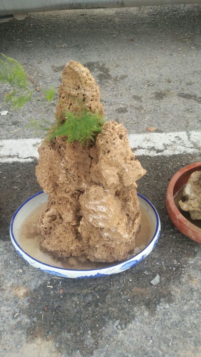 精品上水石
