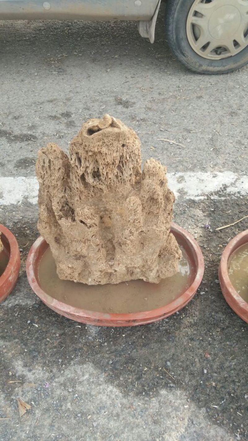 精品上水石