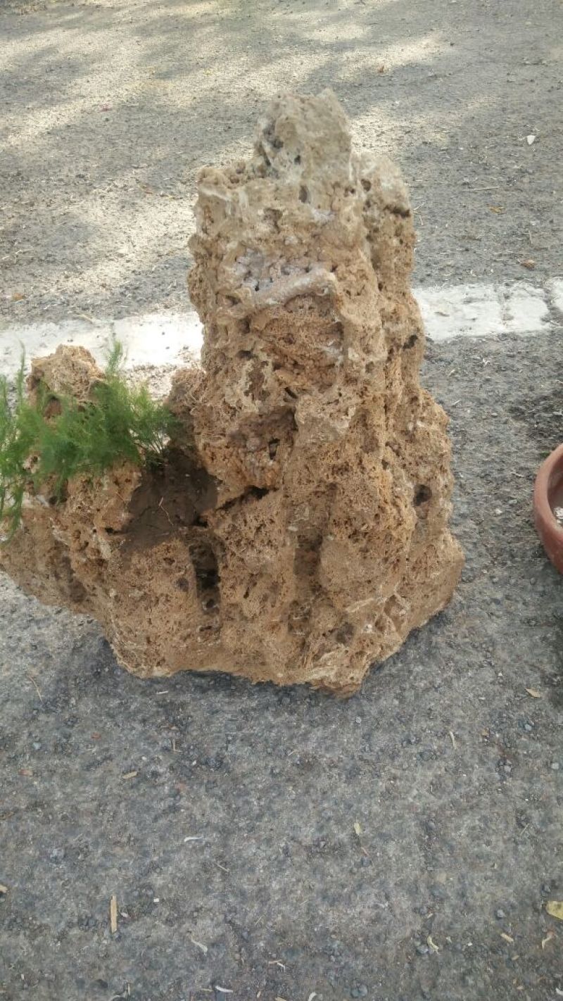 精品上水石
