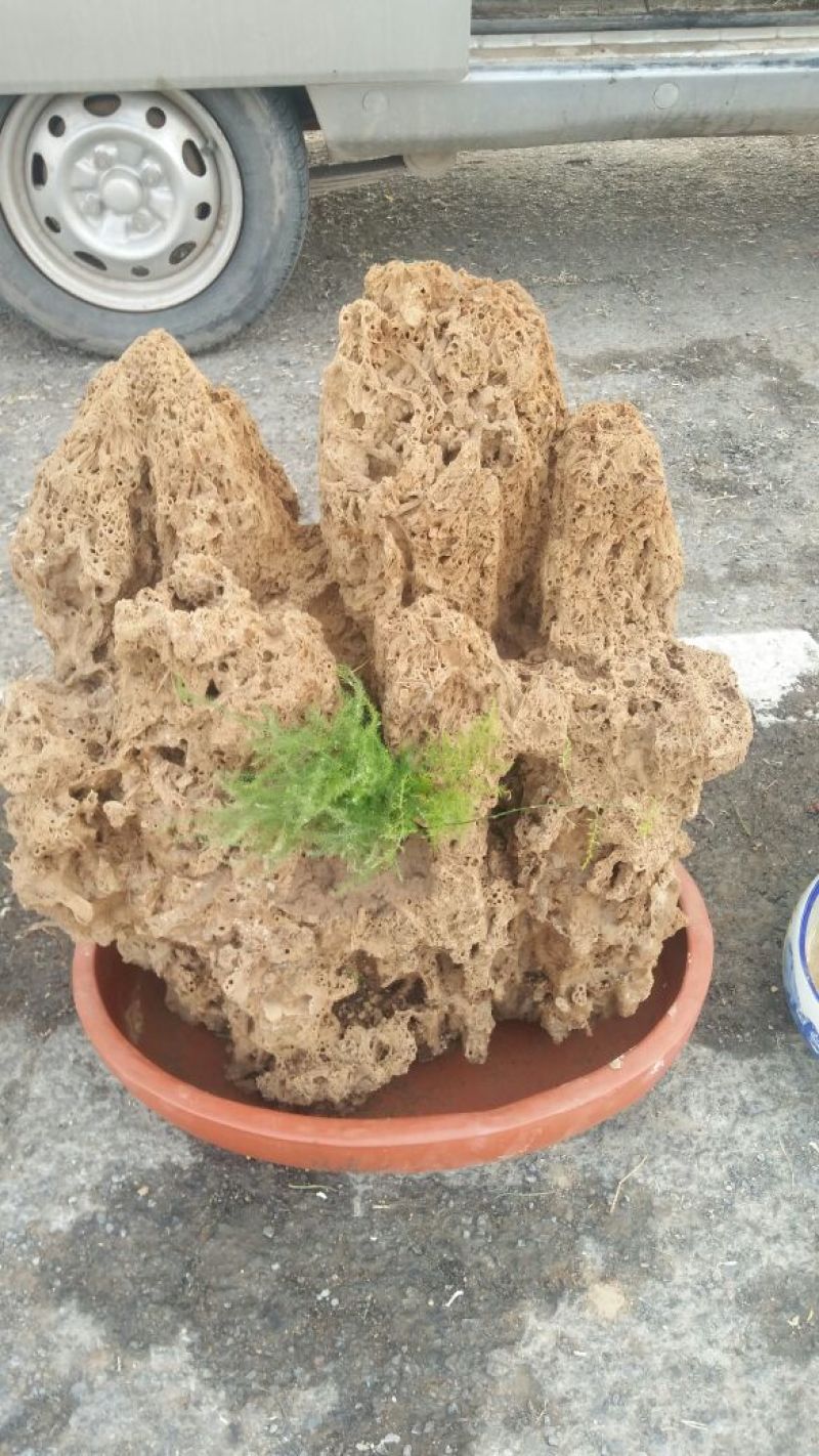 精品上水石