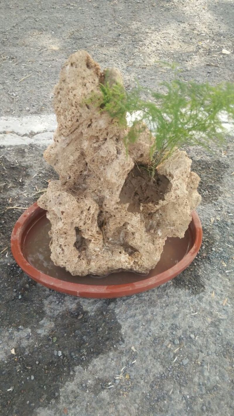 精品上水石