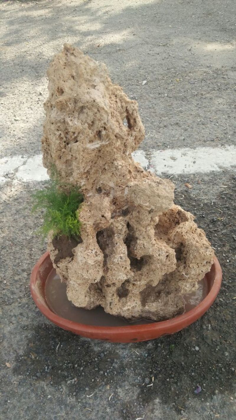 精品上水石